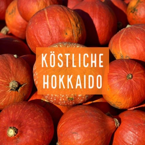 Hokkaido Kürbis