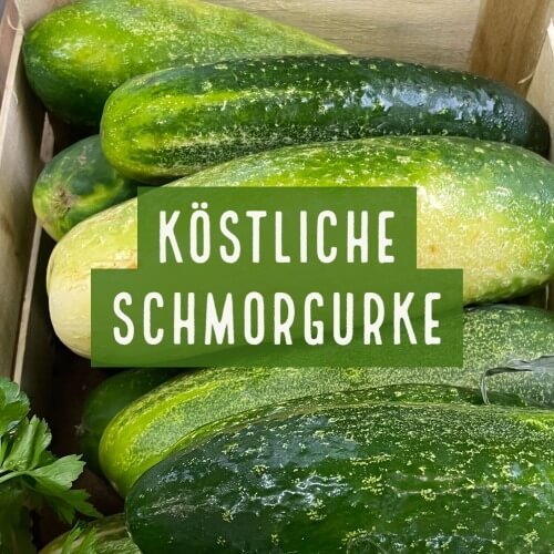 Köstliche Schmorgurken