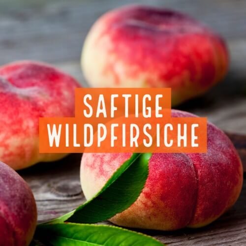 Saftige Wildpfirsiche