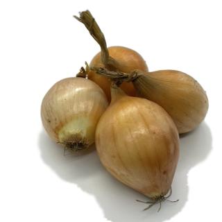 Zwiebeln weiß