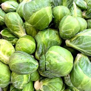 Rosenkohl