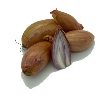 Schalotten