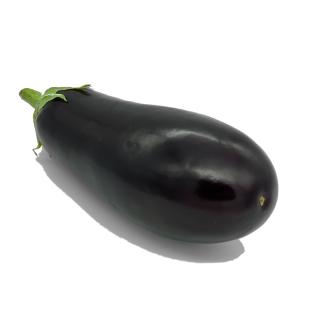 Aubergine