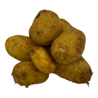 Frühkartoffel Annabelle   (festkochend)